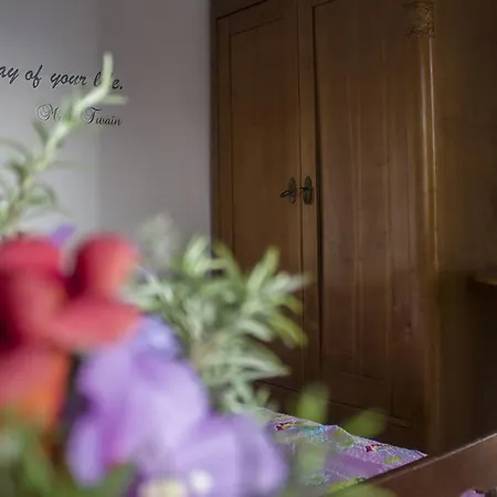 Bukovac Case de vacanță